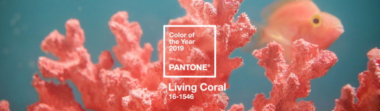color of the year 2019